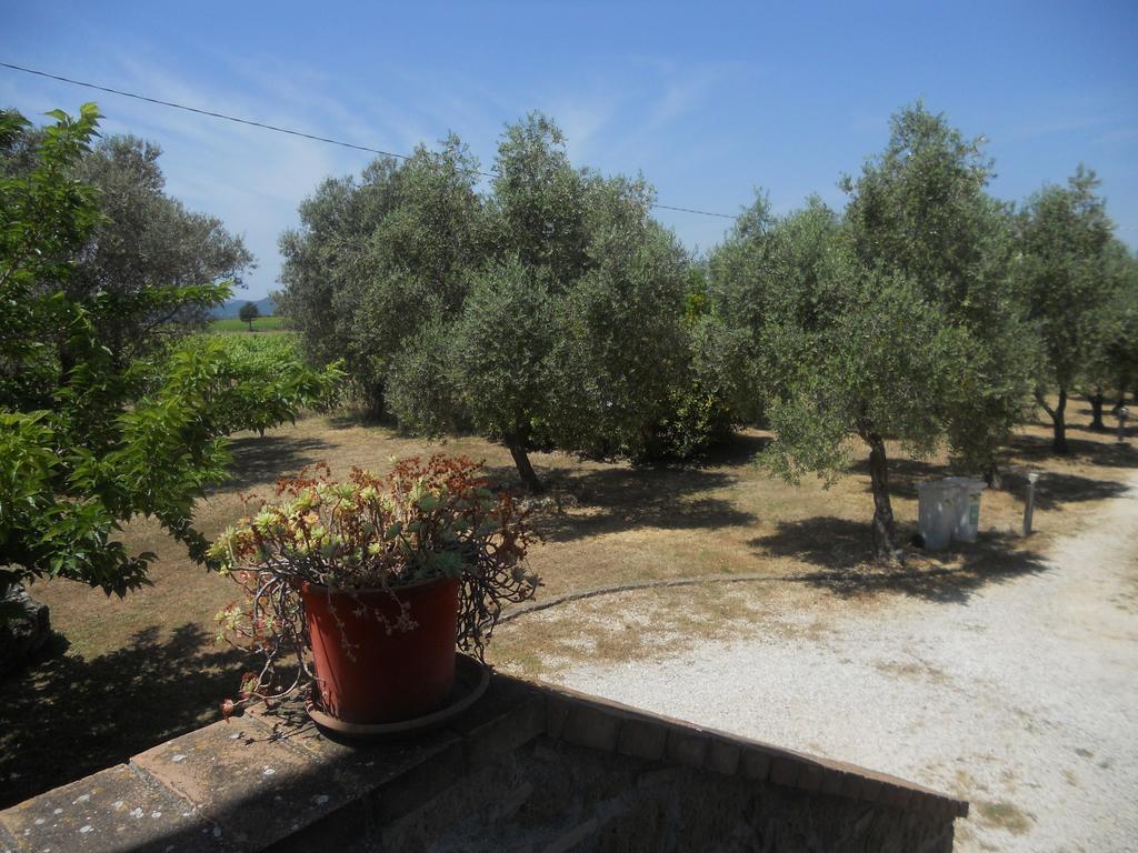 Agriturismo Tenuta Roccaccia Pitigliano Eksteriør billede