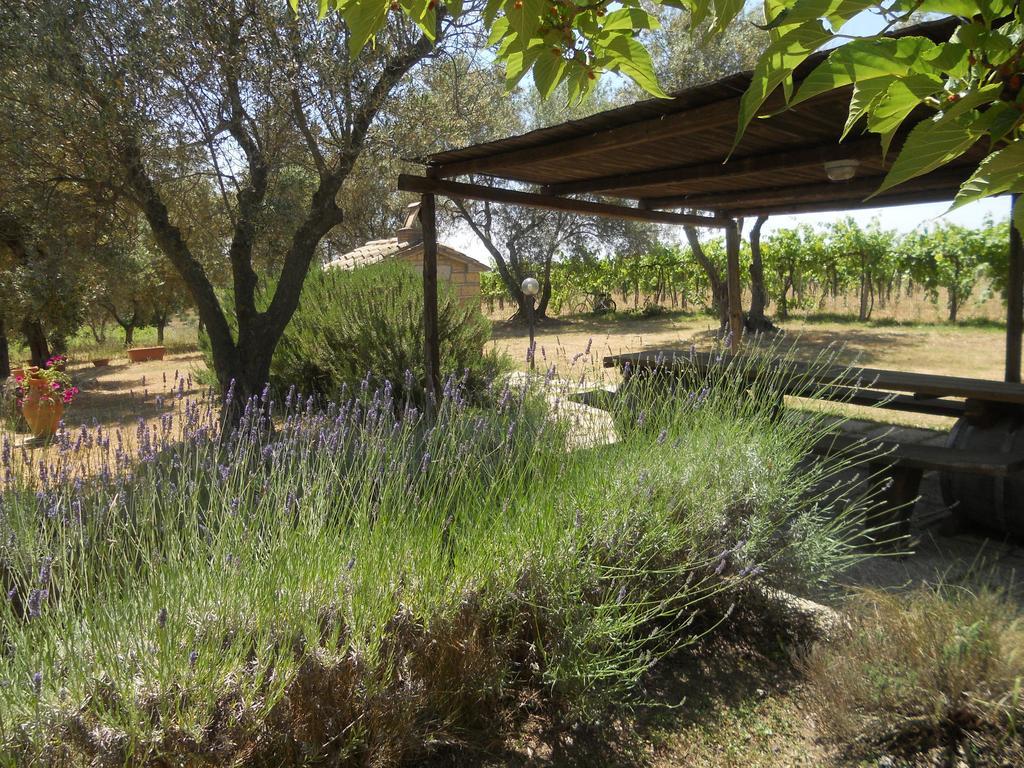 Agriturismo Tenuta Roccaccia Pitigliano Eksteriør billede